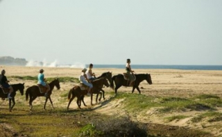  Passeggiate a cavallo sulla spiaggia